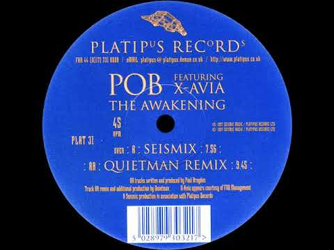 Pob Feat. X-Avia - The Awakening (Quietman Remix)