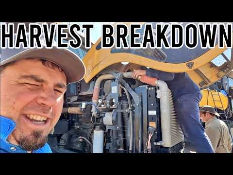We Found the Problem! | Sorghum Harvest Pt 3 | Vlog 465