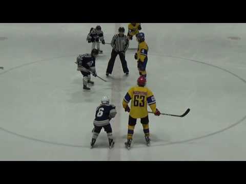 13. 2016 WESE PRG 03 Finland SHD - Sweden SHD Yellow