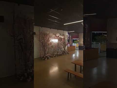 Centro Gastronômico de Assaí, Paraná, Brasil. Fev. 2026 #assahi #paraná #brasil #brasile #japan