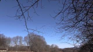 Bill Nelson (Ladders Leading Nowhere) (The Now That Never Was) (Enigmatron) UNOFFICIAL!