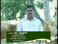 Pon Vilaiyum Bhoomi 20 05 2014