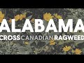 Cross Canadian Ragweed- ALABAMA (Lyrics)