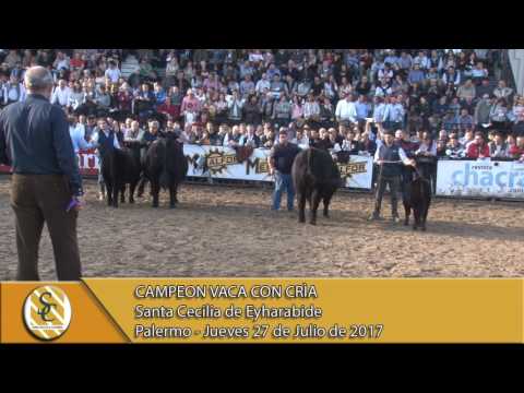 27-07-17 Campeonato Vaca Con Cria - Palermo