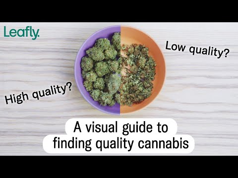 How to find high quality cannabis