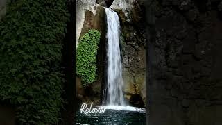 Vídeo Relaxante Queda de Água - Linda Cachoeira! #Shorts #quedadeágua #vídeorelaxante #cachoeira