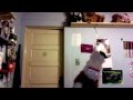 Learning with Larry the Llama-Revolutionary War Commercial