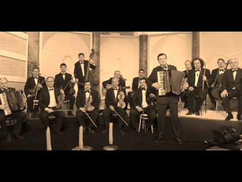 Ljubisa Pavkovic i VNO - Mesarsko kolo