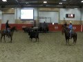 Hootchy Kootchy Man AQHA Cutting Stallion