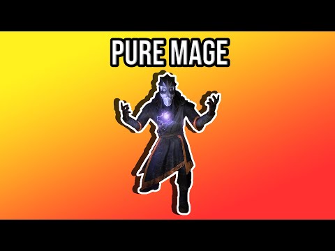 Skyrim Anniversary Edition: BEST Pure Mage Build | Legendary Difficulty