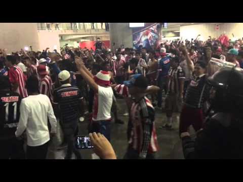 "Chivas -la irreverente" Barra: La Irreverente &bull; Club: Chivas Guadalajara