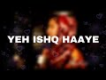 YEH ISHQ HAAYE COVER ZOYA KHAN