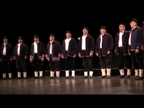 "Bećarine" ,  MVS KUD-a "Tena" , Đakovo  :  Ej , kad su stari svinje žirovali...