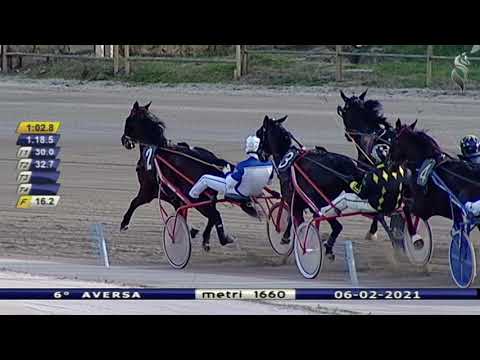 Aversa trotto 6 Febbraio 2021 - 6° Corsa