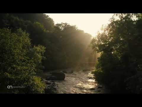 Piatra lui Vișan din Varlaam, Buzău