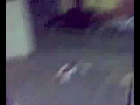 stronzate di malvone