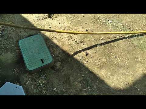 Rats Burrowing Around the Chicken Coop in Howell, NJ