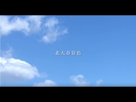 北大春景色【北海道大学公式PV】