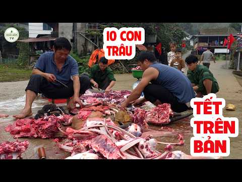 The Biggest Tet Celebration in the Village: Slaughtering 10 Buffaloes – New Year's Eve in the Hig...