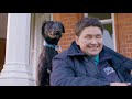 Toilet Training Your Puppy Or Dog The Battersea Way
