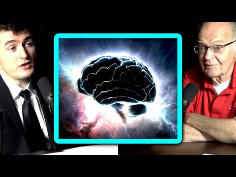 Don Knuth: Is consciousness a computation? | Donald Knuth and Lex Fridman