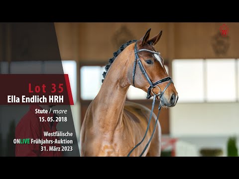 ONLIVE Frühjahrs-Auktion Lot 35 Ella Endlich HRH Stute v. Erdinger - Destano