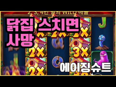 [슬롯][제보영상][닉네임:에이징슈트]닭집 1000배