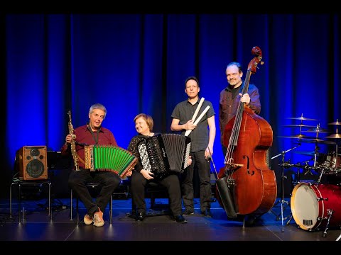 Albin Brun Quartett - Dr Elfenauer