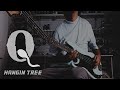 Hangin' Tree - QUEENS OF THE STONE AGE ( bass cover / lesson )