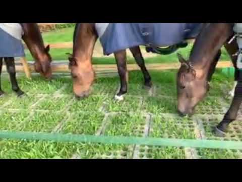 INB Mudcontrol slabs - the best system for protecting the ground