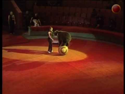 Bears with rolling globe