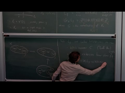 Limit periods and arithmetic on curves (Oberwolfach talk)