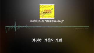 바닐라 어쿠스틱 (Vanilla Acoustic) - 얼음벌레 (가사)