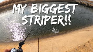 I Caught My Biggest Striper!! | CA Aqueduct Fishing | Iu Mien Fishing | Rogue Magnetics