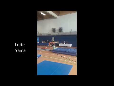 Hamburger Meisterschaften Turnen LK 1 Sprung Niendorfer TSV