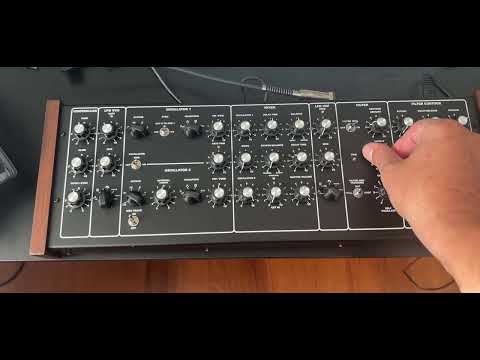 Prodigy Plus (Moog clone) Bild 3