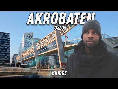 I Found the Craziest Bridge Design in Scandinavia