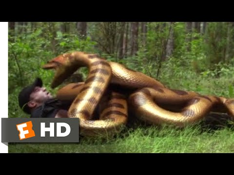 レイクプラシッドvs.アナコンダ』（2015年）-喰われたシーン（8/10）｜Movieclips (Lake Placid vs. Anaconda (2015) - Eaten Alive Scene (8/10) | Movieclips)