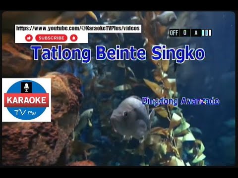 Tatlong Beinte Singko - DINGDONG AVANZADO (KARAOKE)