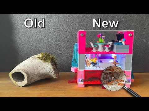 I built a Lego Ant Farm for Venomous Ants