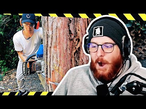 Unge REAGIERT auf Ju fällt einen RIESEN Baum | #ungeklickt