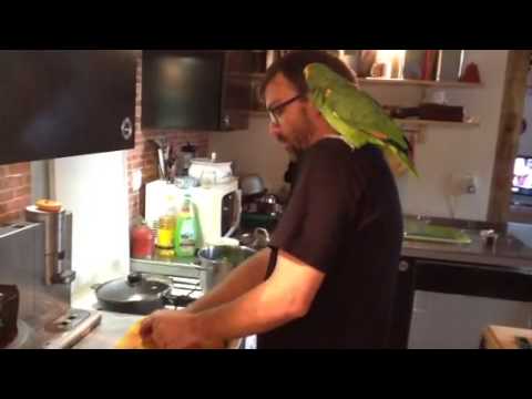 La cuisine par kiwi.