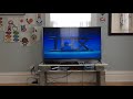 THX Opening Finding Nemo Full Frame Version