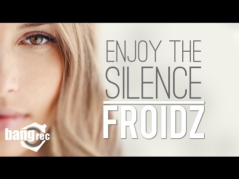 FROIDZ - Enjoy The Silence