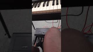Video thumbnail for 2nd Take of Studiologic MP-117 Bass Pedal Setup for Hammond/Nord Combo Organ Demo by Kyle Anthony Snell