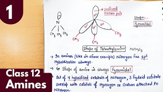 1) Amines| Structure of Amines| Chapter-9 organic chemistry class 12 #neet #jee #chemistry