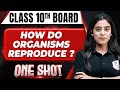 HOW DO ORGANISMS REPRODUCE In 1 Shot FULL CHAPTER COVERAGE Theory PYQs Class 10th Boards