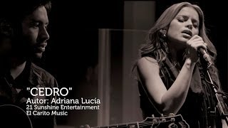 Cedro Lyrics English Translation