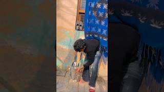 Pitbull Dog Puppy Top Quality 🔥 #shorts #dog #dogs