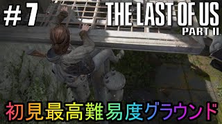 #7【The Last of Us Part II】初見最高難易度グラウンドで美少女たちが暴れん坊将軍